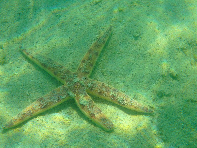 Mauritius 2017 659